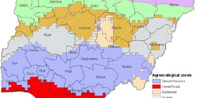 Debuxar o mapa da nixeria mostrando as zonas de vexetación