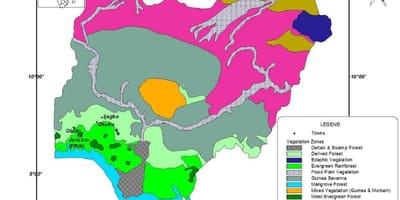 Mapa de nixeria mostrando vexetación